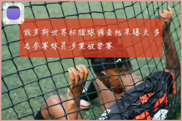 俄罗斯世界杯赌球调查结果曝光 多名参赛球员涉案被禁赛