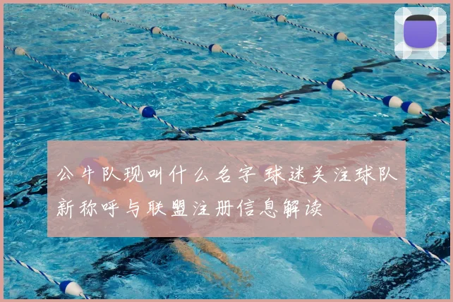 公牛队现叫什么名字 球迷关注球队新称呼与联盟注册信息解读