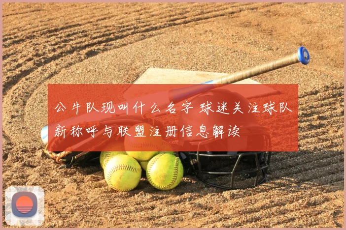 公牛队现叫什么名字 球迷关注球队新称呼与联盟注册信息解读