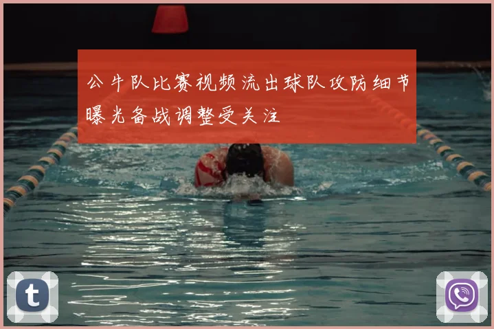 公牛队比赛视频流出球队攻防细节曝光备战调整受关注