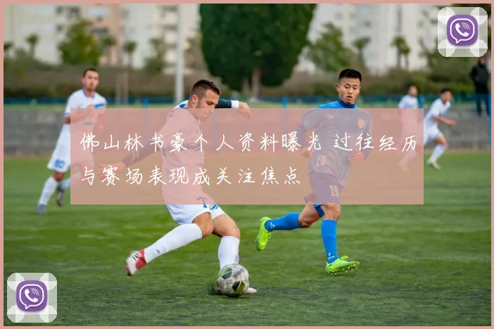 佛山林书豪个人资料曝光 过往经历与赛场表现成关注焦点